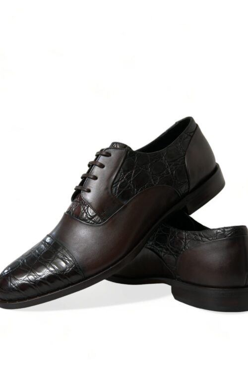Dolce & Gabbana Elegant Brown Formal Derby Dress Shoes