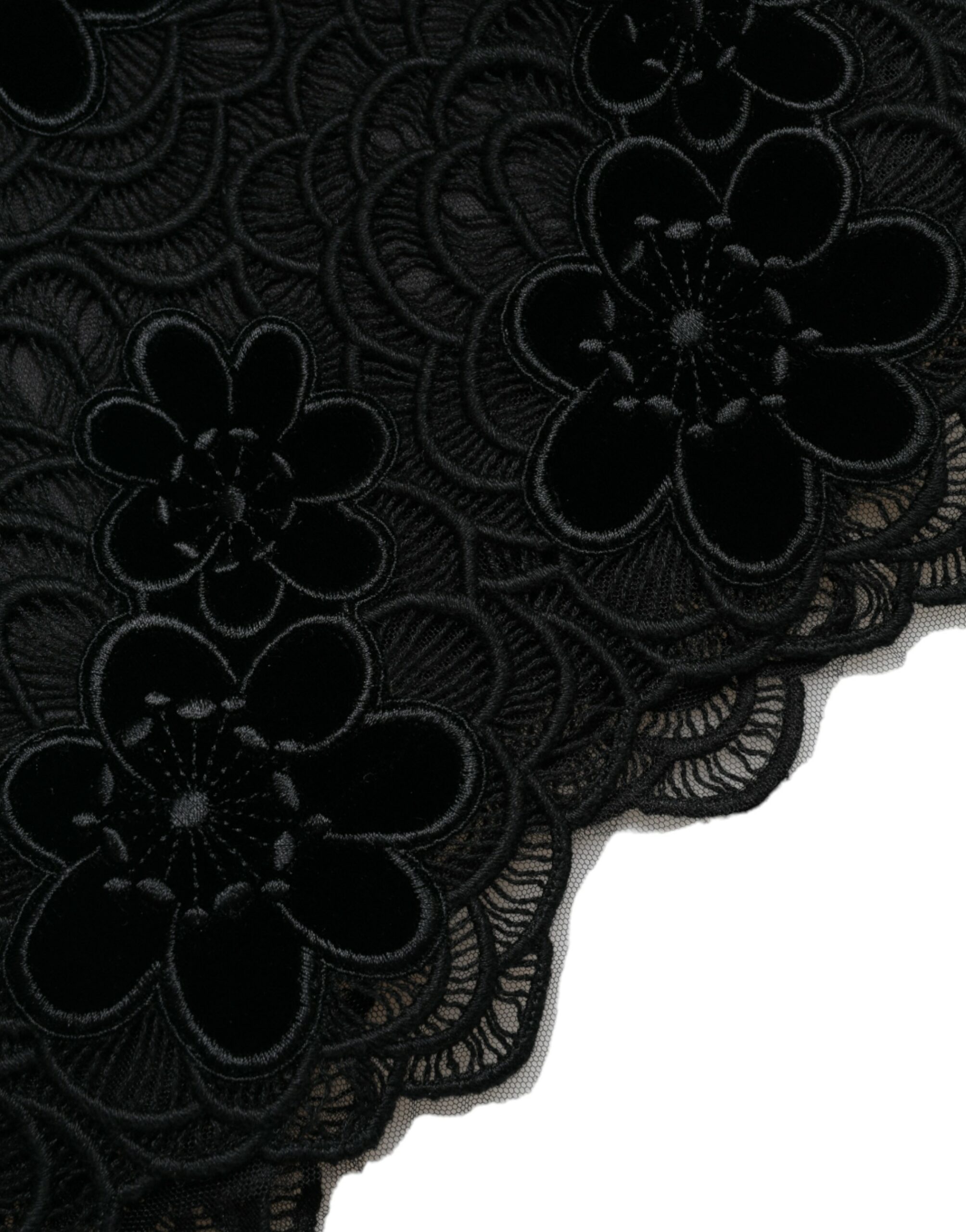 465A4934-BG-scaled-e7e3a0c5-366.jpg