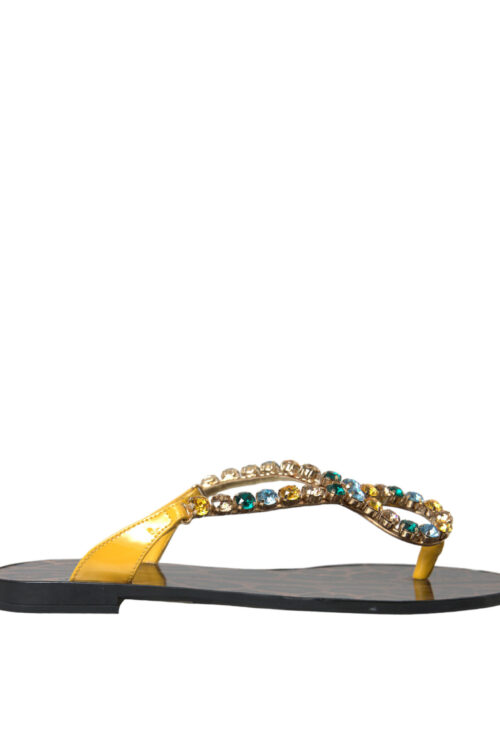 Dolce & Gabbana Mustard Crystal Calf Leather Beachwear Shoes