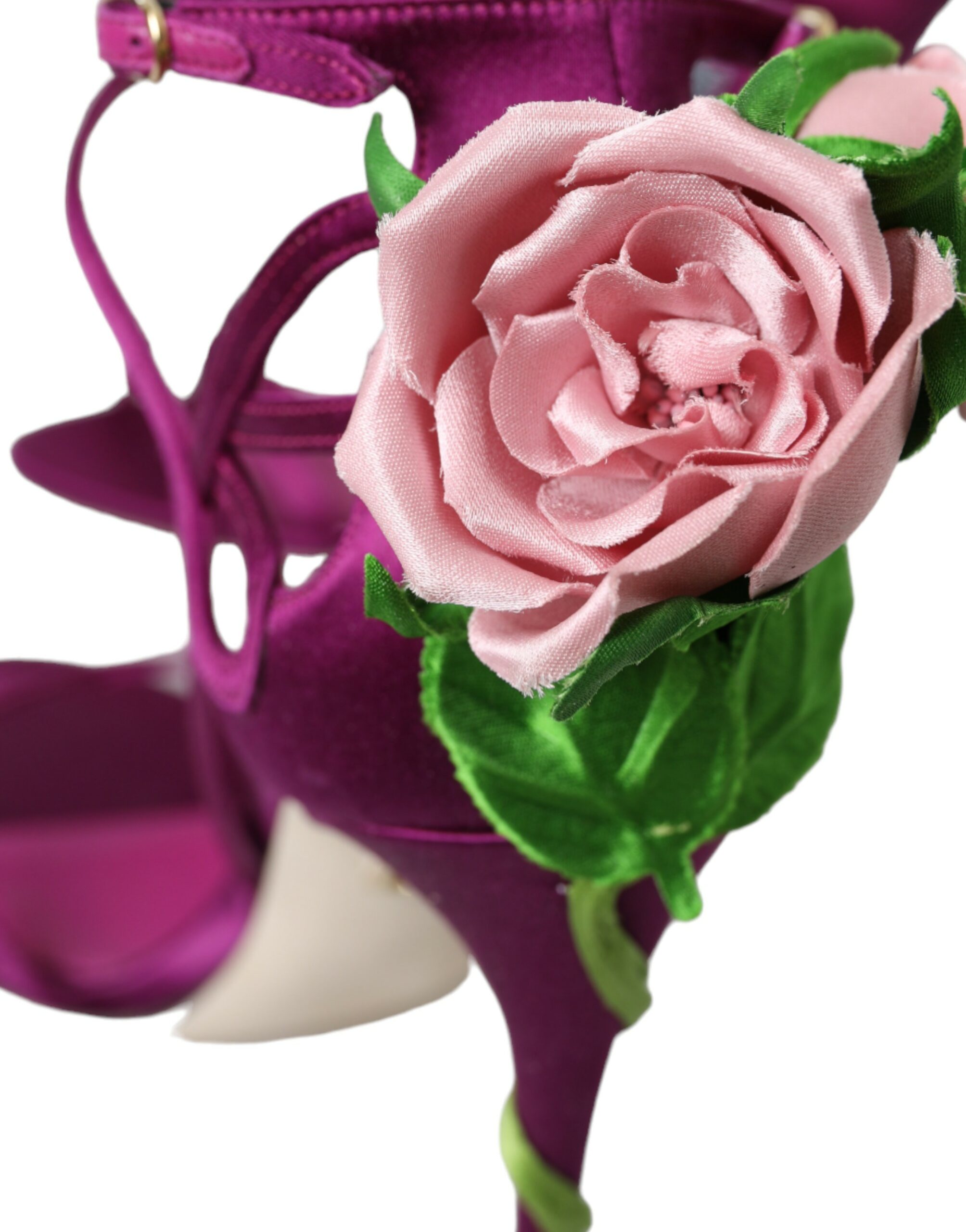 465A6510-BG-scaled-4b21de5f-b68.jpg
