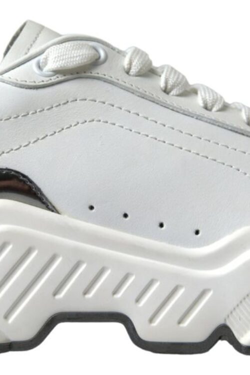 Dolce & Gabbana Elegant Daymaster Low Top Sneakers