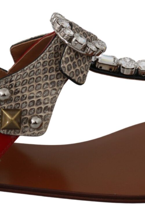 Dolce & Gabbana Elegant Strappy Sandals with Exotic Charm
