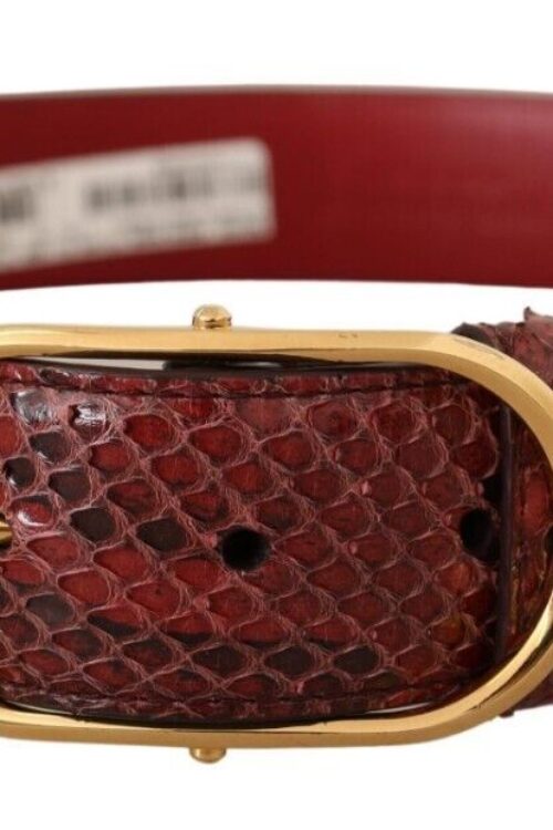 Dolce & Gabbana Elegant Red Snakeskin Leather Belt